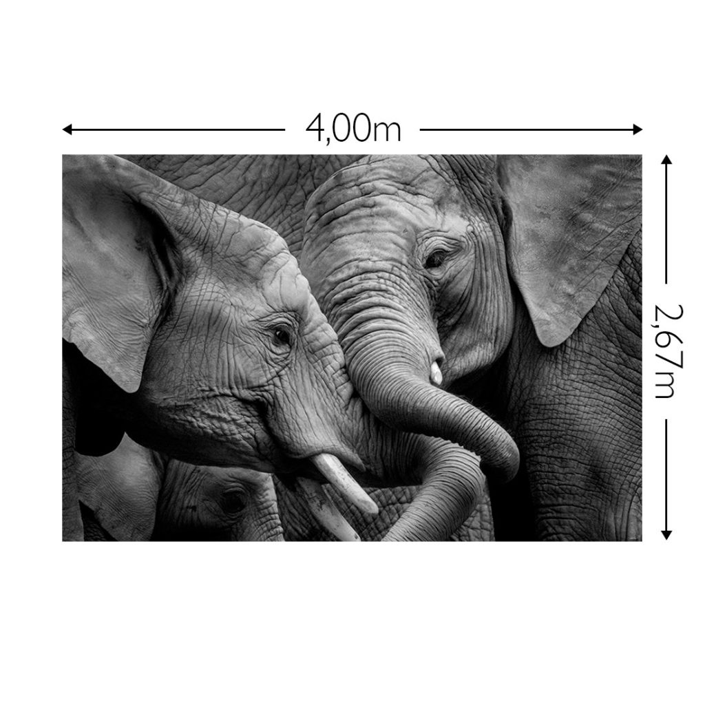 Joka Fotobehang P180 400 Cm Br X 267 Cm Hg 300 Grams Structuur 1