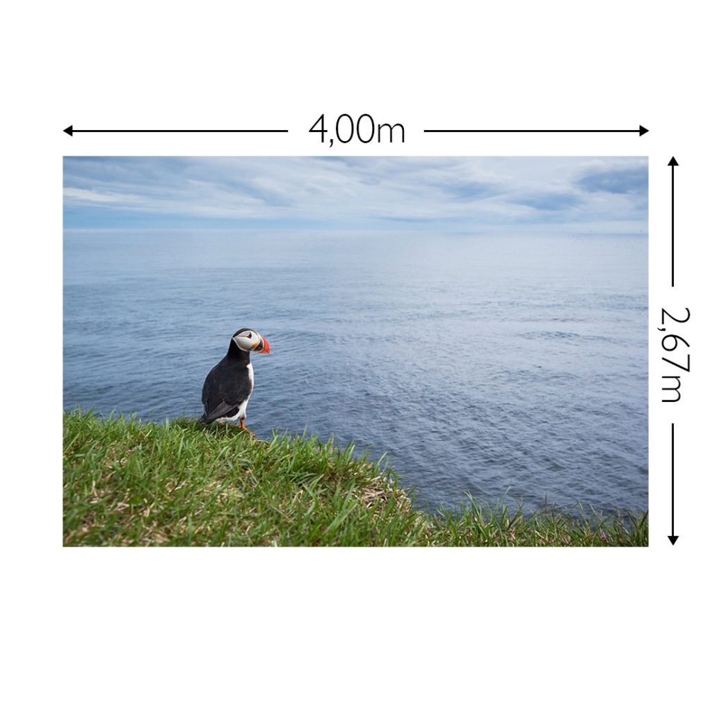 Joka Fotobehang P187 400 Cm Br X 267 Cm Hg 200 Grams Vlies 1