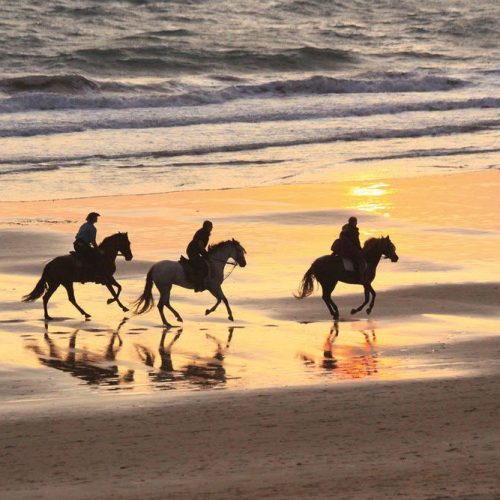 Joka Fotobehang P205 400 Cm Br X 267 Cm Hg 300 Grams Structuur