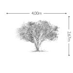 Joka Fotobehang P213 400 Cm Br X 267 Cm Hg 130 Grams Vlies Mat 1
