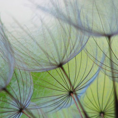 Joka Fotobehang P218 400 Cm Br X 267 Cm Hg 300 Grams Structuur