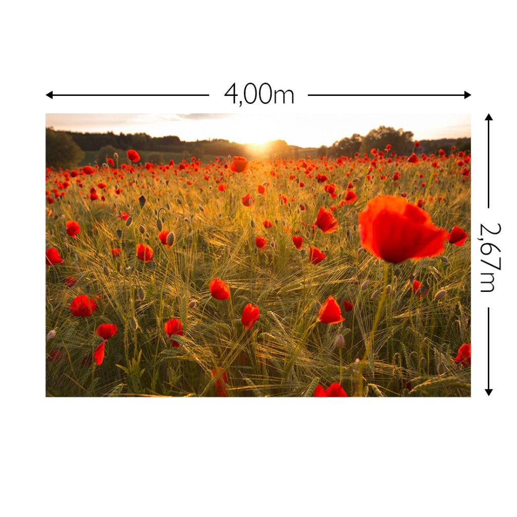 Joka Fotobehang P220 400 Cm Br X 267 Cm Hg 130 Grams Vlies Mat 1