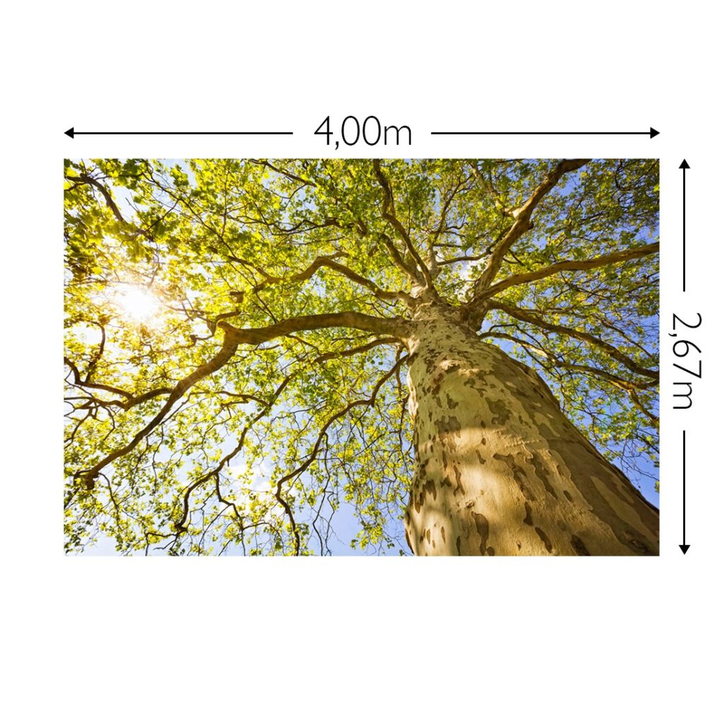 Joka Fotobehang P225 400 Cm Br X 267 Cm Hg 130 Grams Vlies Mat 1