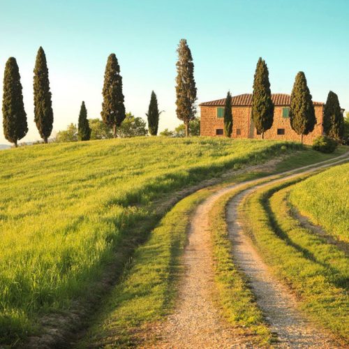 Joka Fotobehang P228 400 Cm Br X 267 Cm Hg 300 Grams Structuur