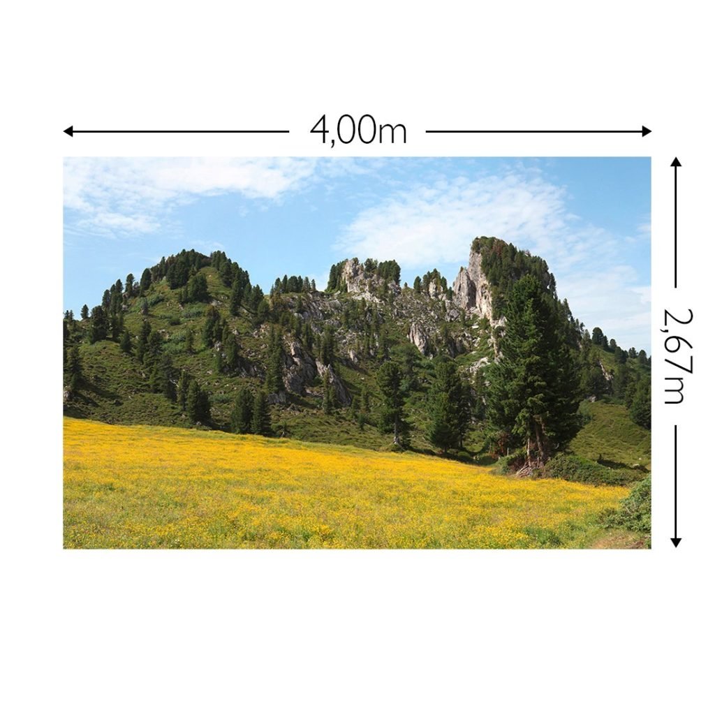 Joka Fotobehang P229 400 Cm Br X 267 Cm Hg 300 Grams Structuur 1