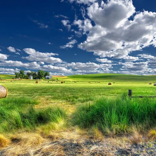 Joka Fotobehang P236 400 Cm Br X 267 Cm Hg 300 Grams Structuur