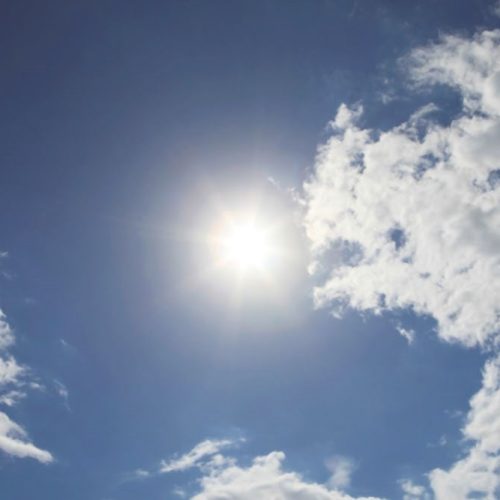 Joka Fotobehang P241 400 Cm Br X 267 Cm Hg 130 Grams Vlies Mat