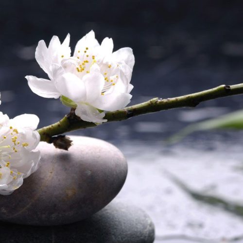 Joka Fotobehang P243 400 Cm Br X 267 Cm Hg 200 Grams Vlies