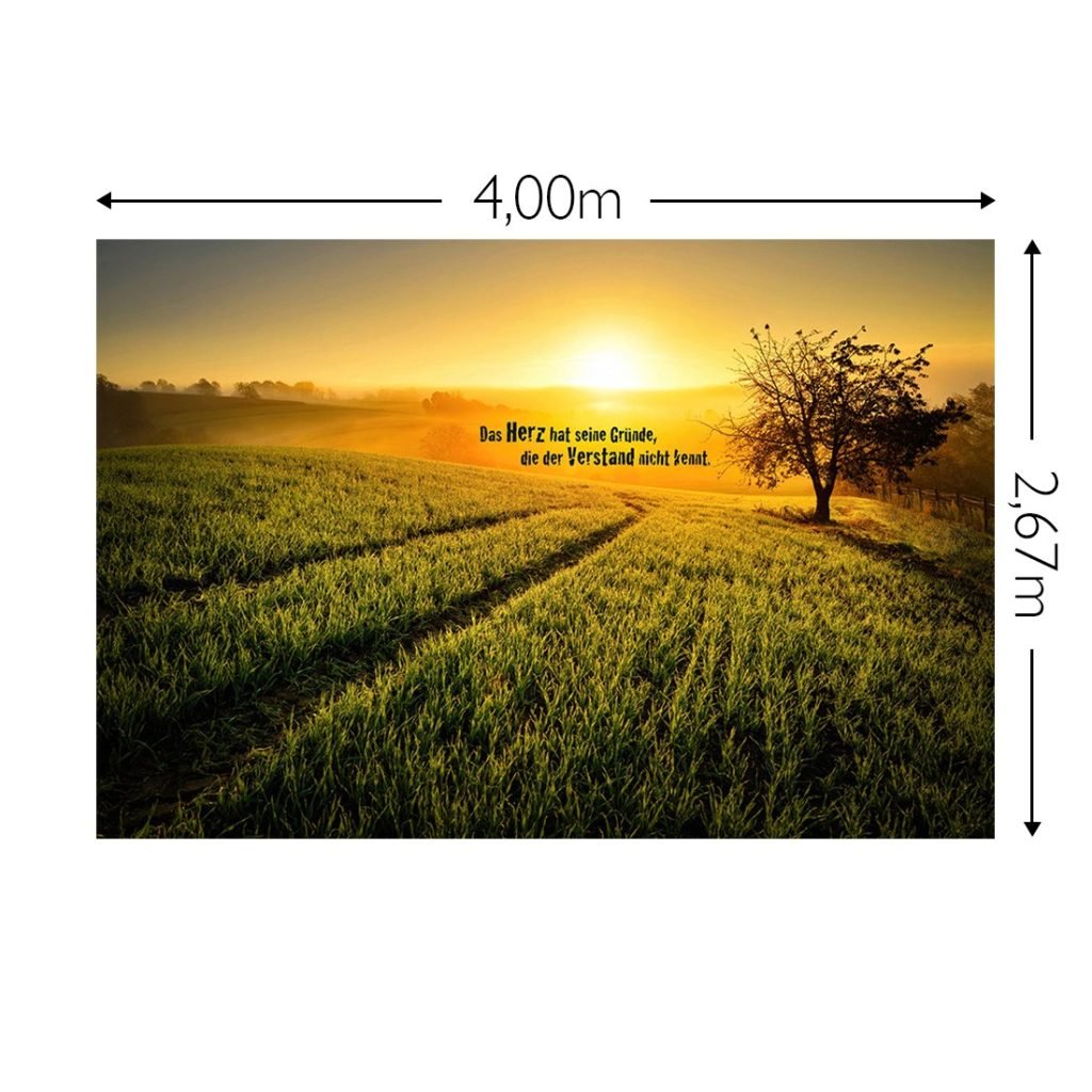 Joka Fotobehang P246 400 Cm Br X 267 Cm Hg 300 Grams Structuur 1