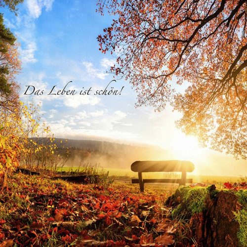 Joka Fotobehang P247 400 Cm Br X 267 Cm Hg 200 Grams Vlies