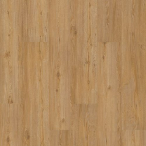 Lvt Homeline 55 5519 Feldeiche Natur 22 86x121 92 3 34m