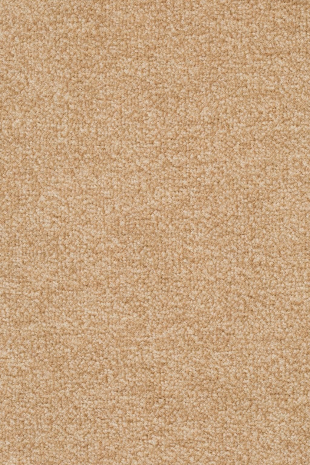 Sprint 027 Tapijt Astro 400cm kleur 231 x 400