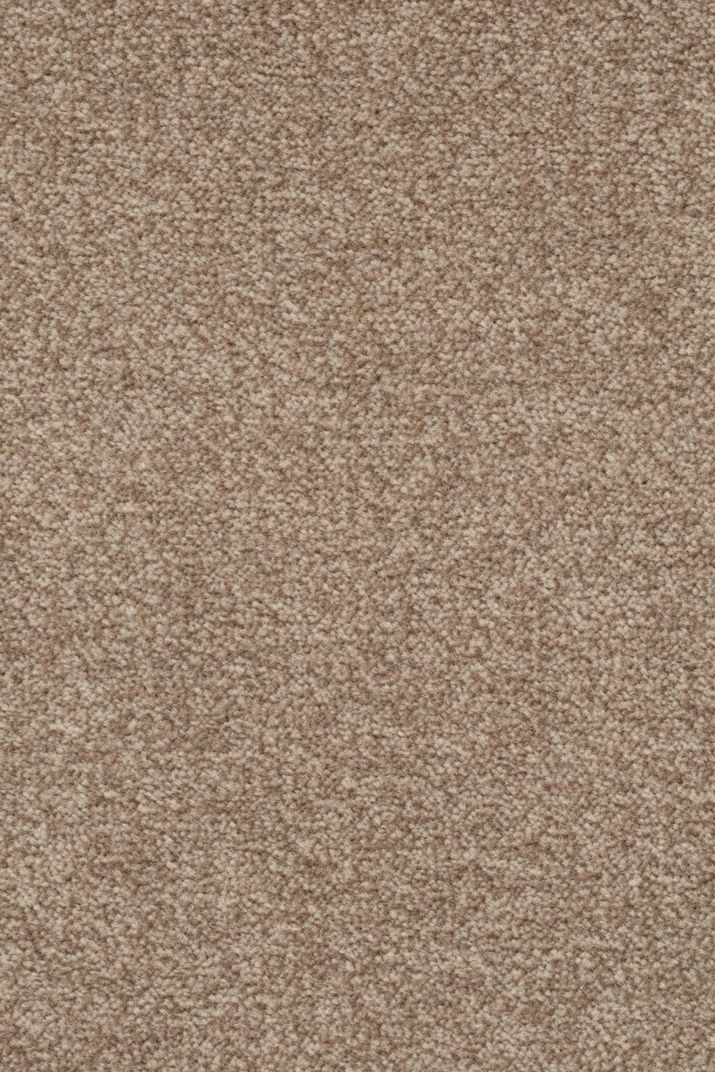 Sprint 027 Tapijt Astro 500cm kleur 262 x 500