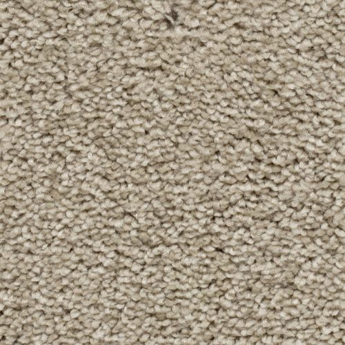 Sprint 027 Tapijt Damos 400cm kleur 62 x 400