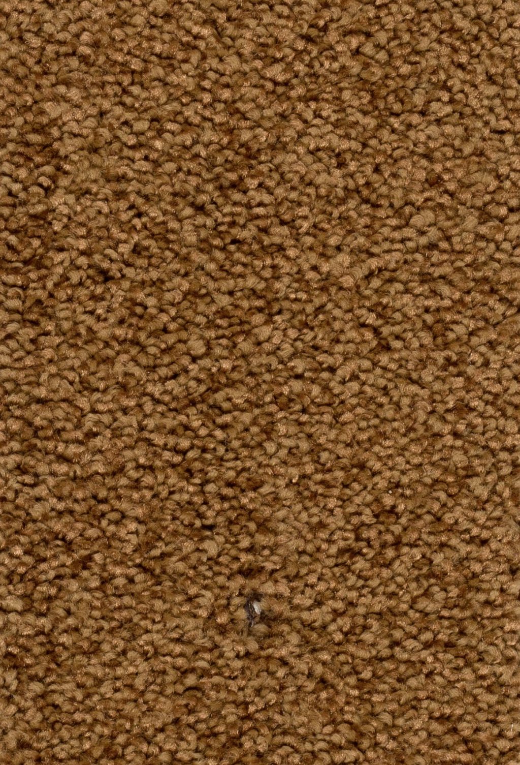 Sprint 027 Tapijt Damos 500cm kleur 31 x 500