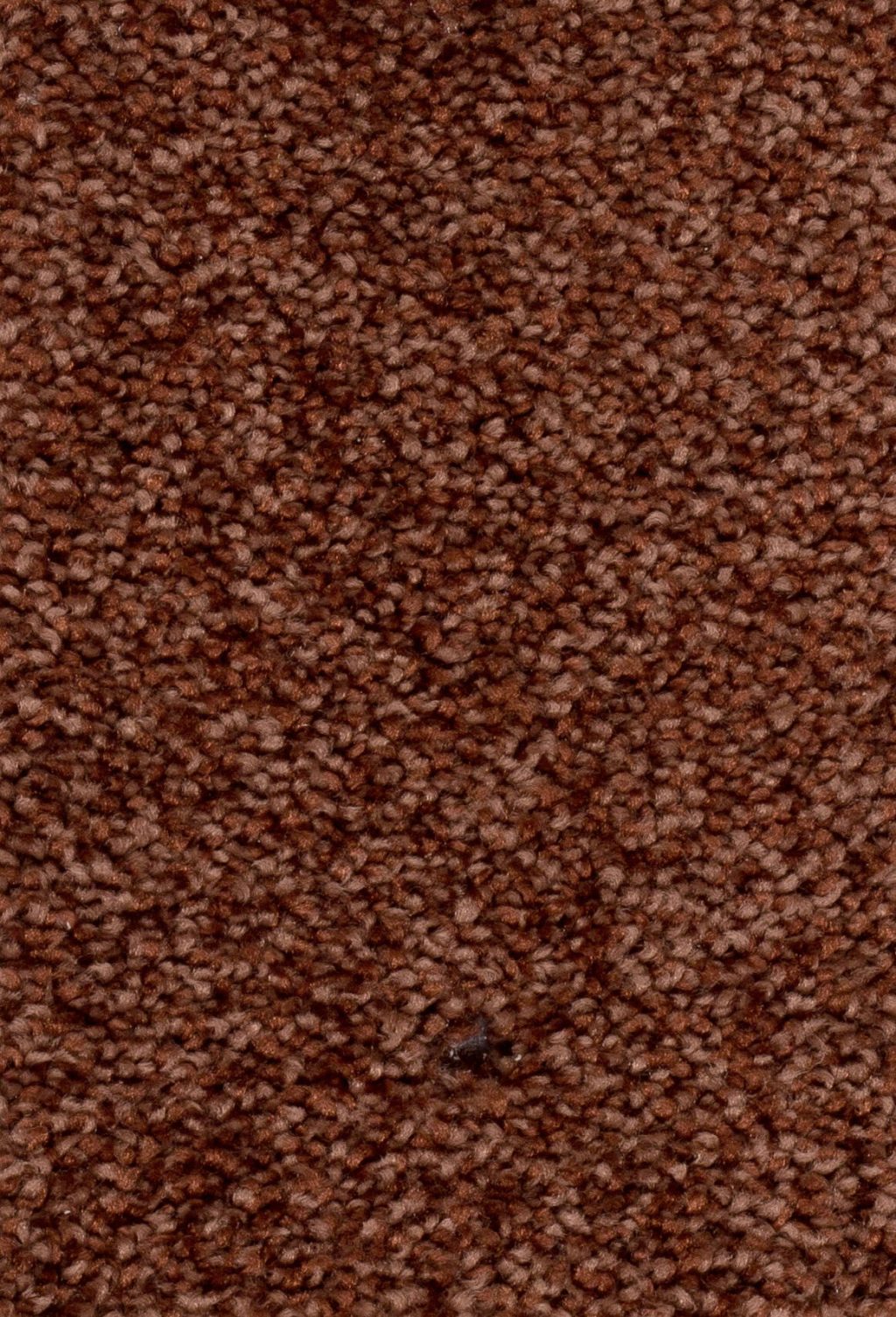 Sprint 027 Tapijt Damos 500cm kleur 35 x 500