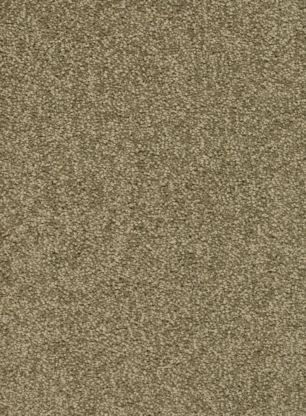 Trend 026 Tapijt ALAMO 400 cm kleur 24 x 400,0