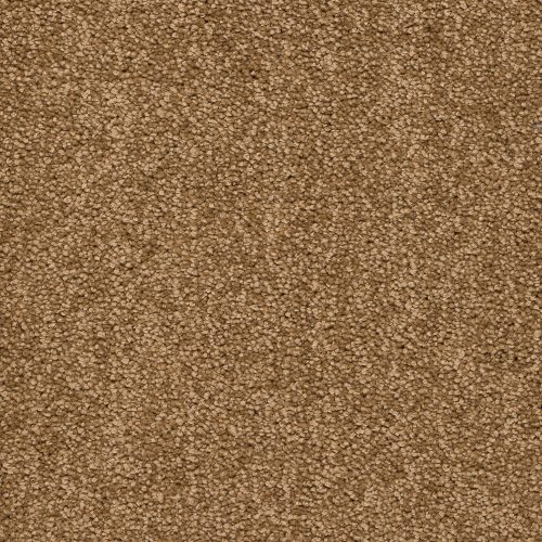 Trend 026 Tapijt ALAMO 400 cm kleur 35 x 400,0