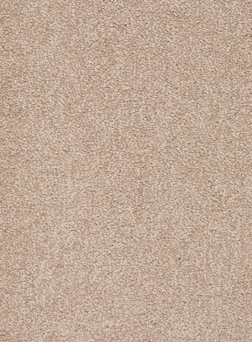 Trend 026 Tapijt ALAMO 400 cm kleur 36 x 400,0