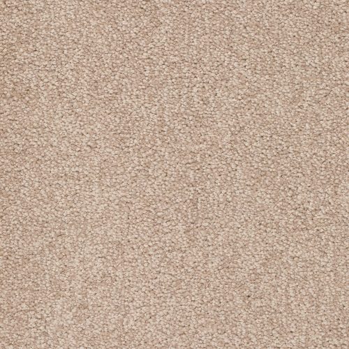 Trend 026 Tapijt ALAMO 400 cm kleur 36 x 400,0