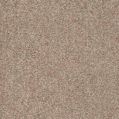 Trend 026 Tapijt ALAMO 400 cm kleur 39 x 400,0