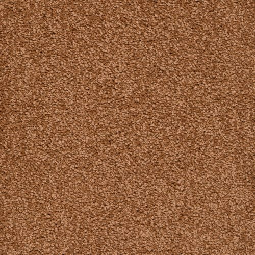 Trend 026 Tapijt ALAMO 400 cm kleur 84 x 400,0