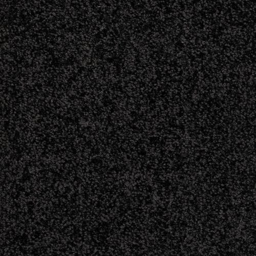 Trend 026 Tapijt ALAMO 400 cm kleur 99 x 400,0