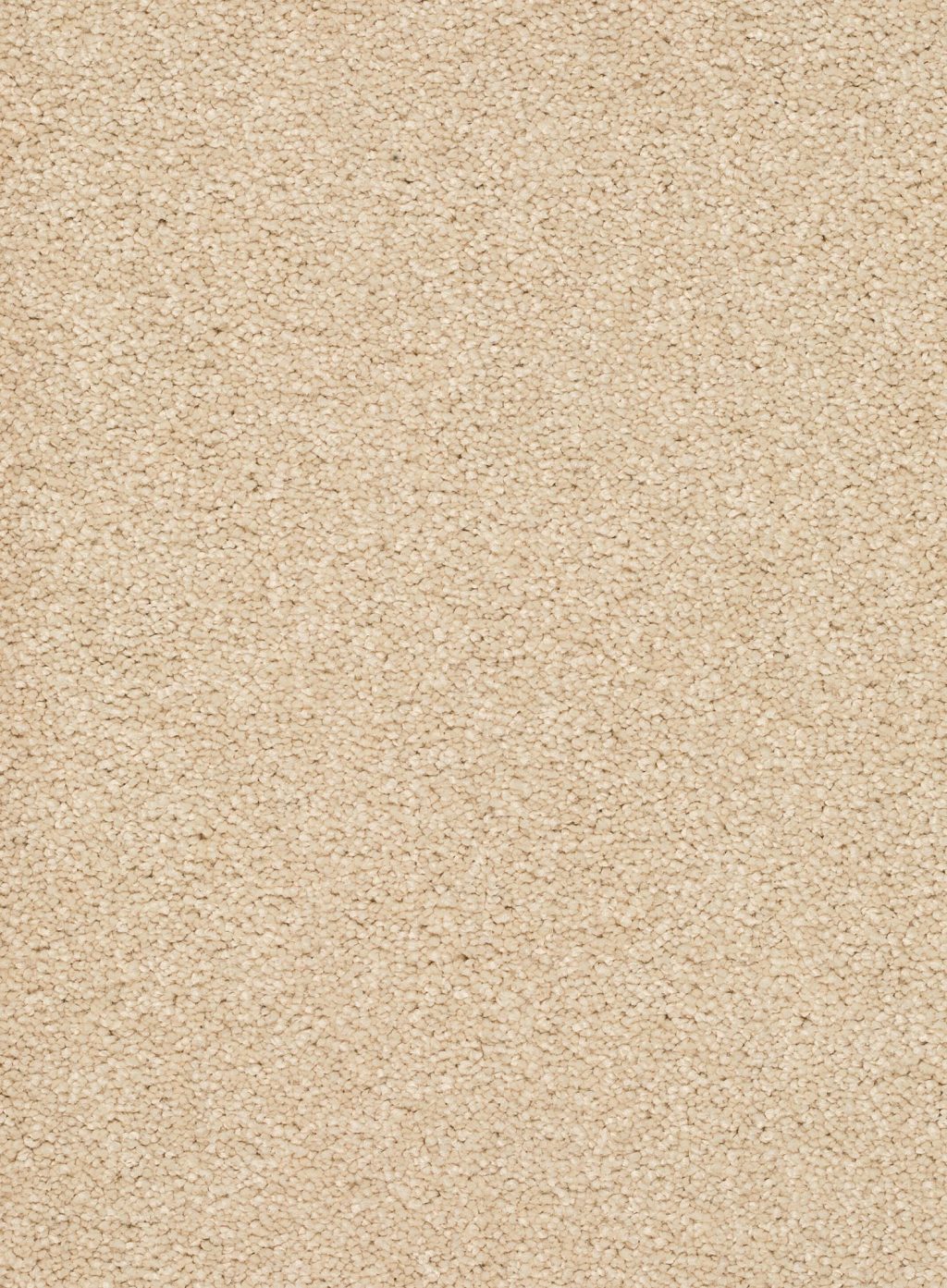 Trend 026 Tapijt ALAMO 500 cm kleur 03 x 500,0