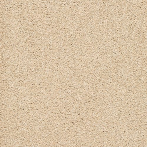 Trend 026 Tapijt ALAMO 500 cm kleur 03 x 500,0