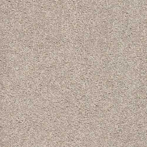 Trend 026 Tapijt ALAMO 500 cm kleur 05 x 500,0