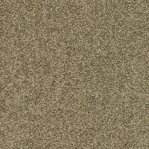 Trend 026 Tapijt ALAMO 500 cm kleur 24 x 500,0