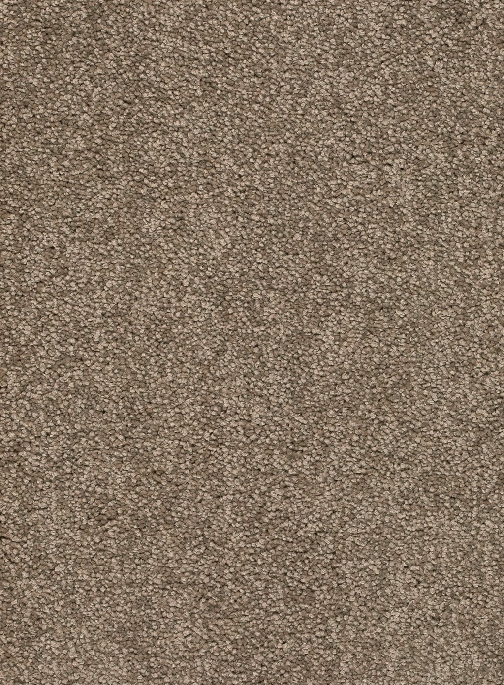 Trend 026 Tapijt ALAMO 500 cm kleur 34 x 500,0