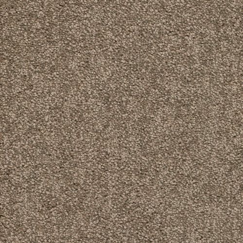 Trend 026 Tapijt ALAMO 500 cm kleur 34 x 500,0