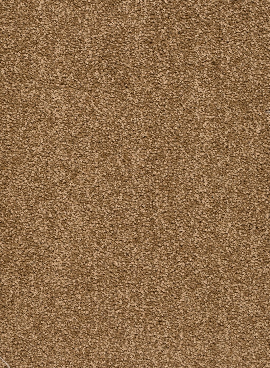 Trend 026 Tapijt ALAMO 500 cm kleur 35 x 500,0