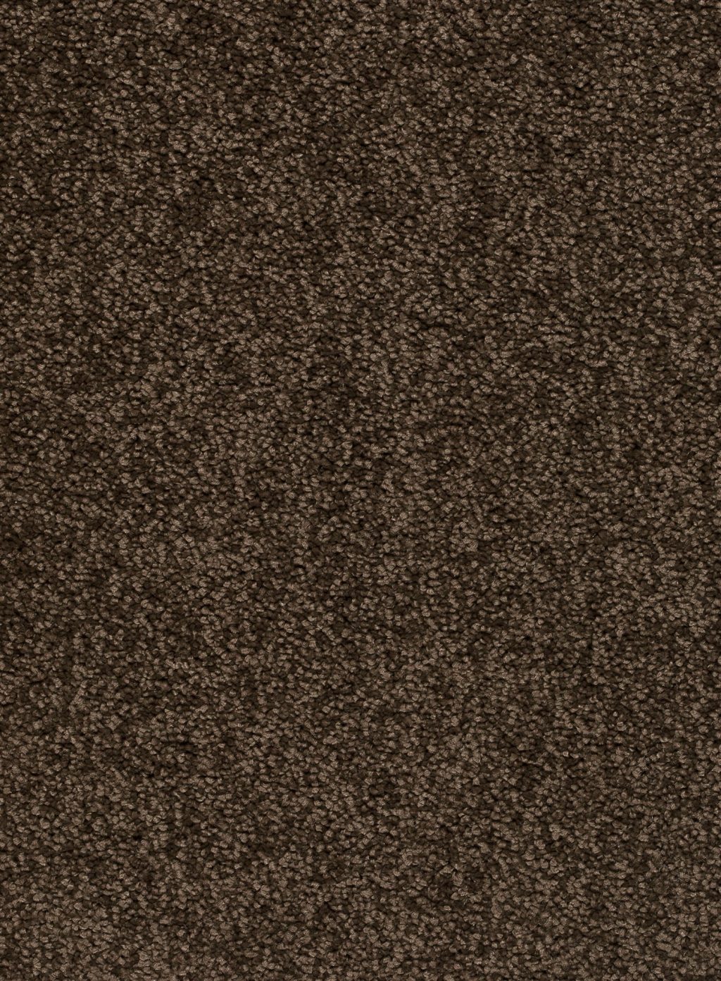 Trend 026 Tapijt ALAMO 500 cm kleur 44 x 500,0