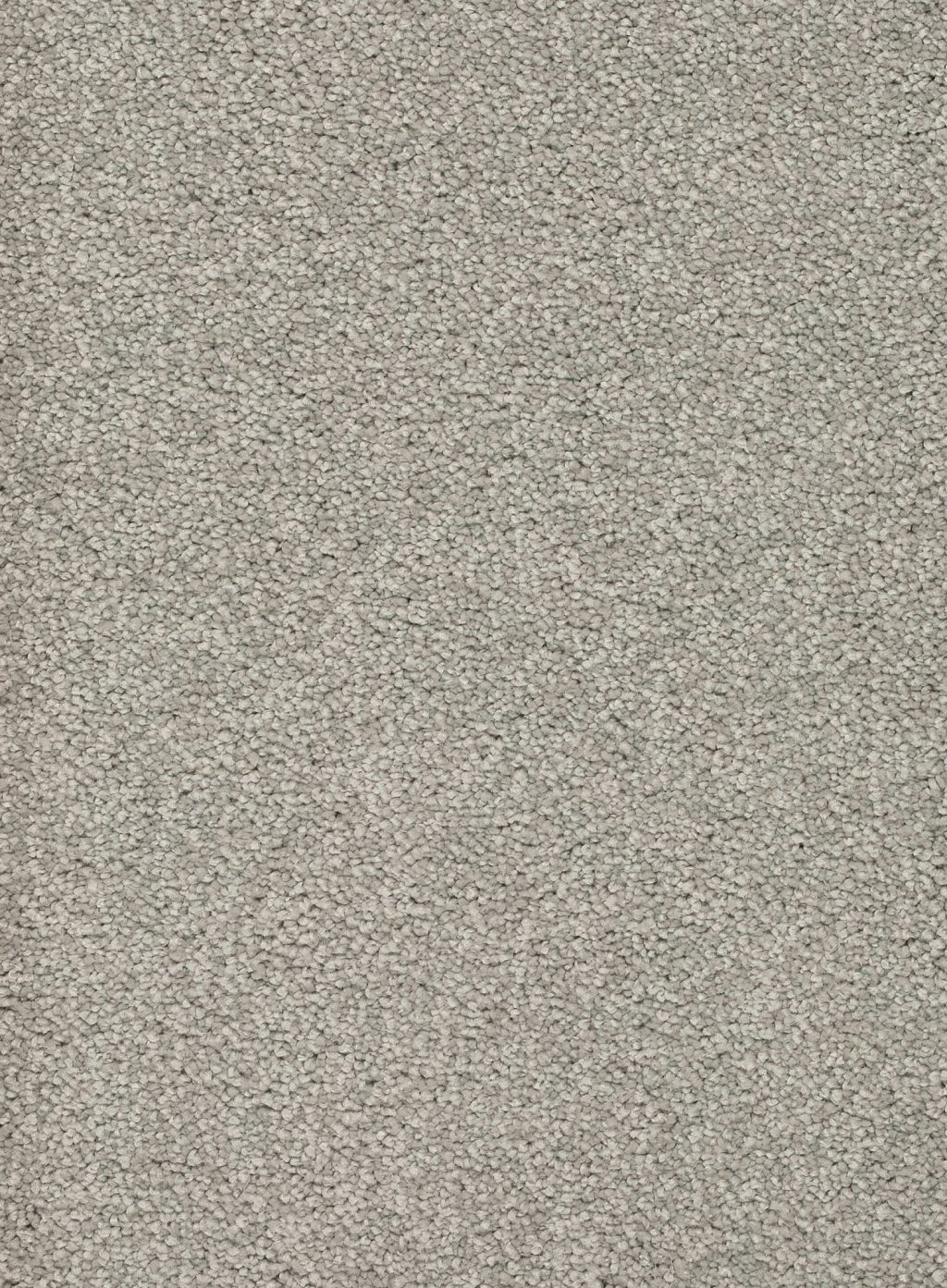 Trend 026 Tapijt ALAMO 500 cm kleur 90 x 500,0