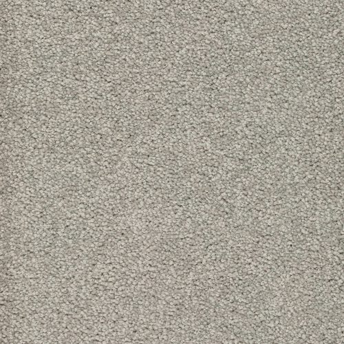 Trend 026 Tapijt ALAMO 500 cm kleur 90 x 500,0