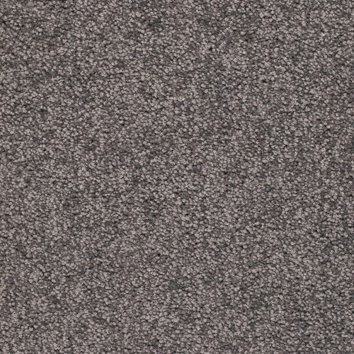 Trend 026 Tapijt ALAMO 500 cm kleur 96 x 500,0