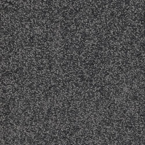 Trend 026 Tapijt ALAMO 500 cm kleur 97 x 500,0