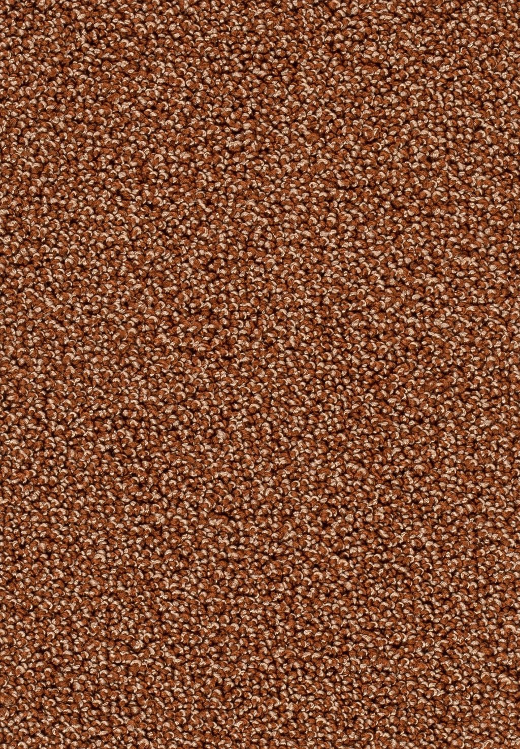 Trend 026 Tapijt AMBRA 500cm kleur 85 x 500,0