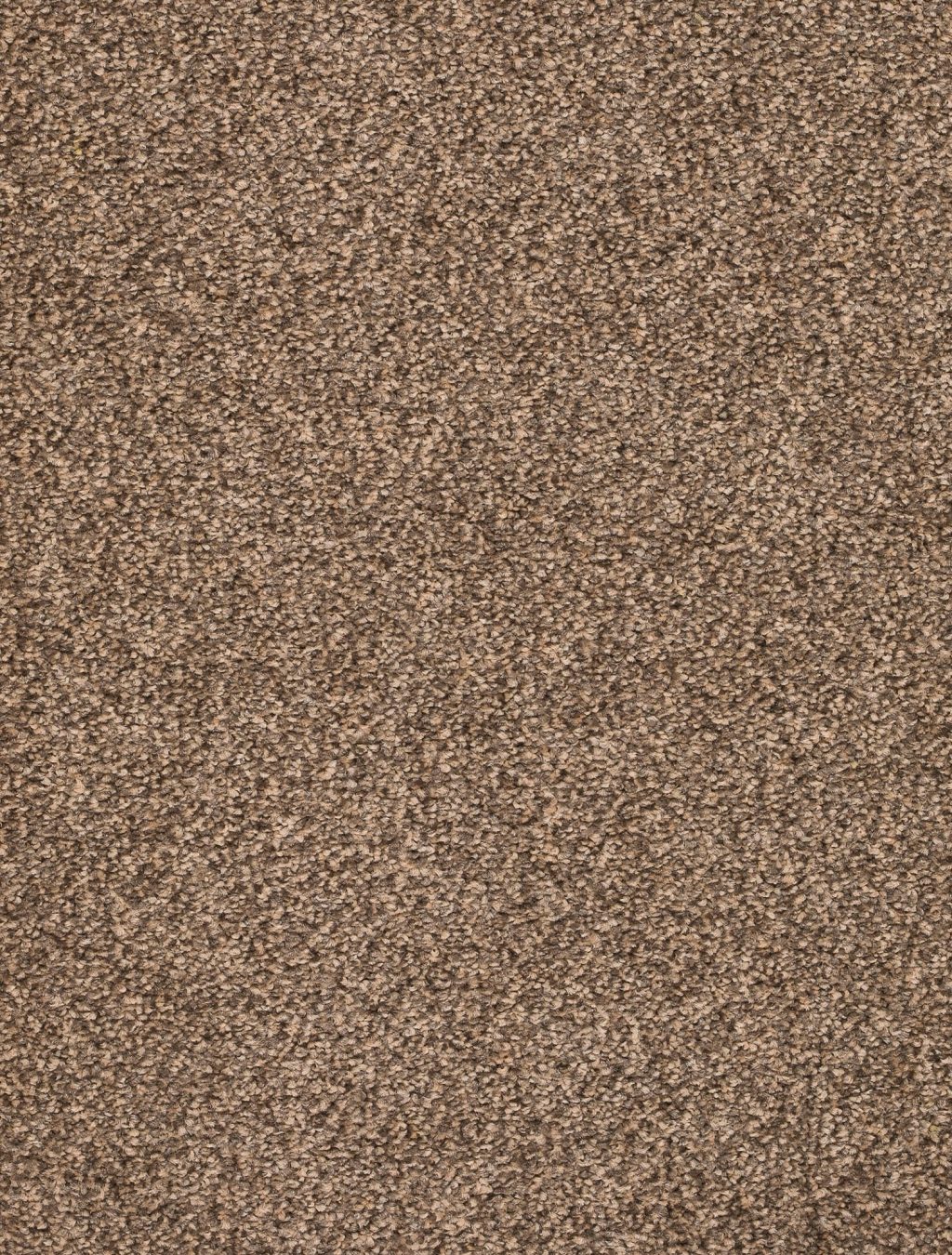 Trend 026 Tapijt DERBY 400cm kleur 43 x 400,0