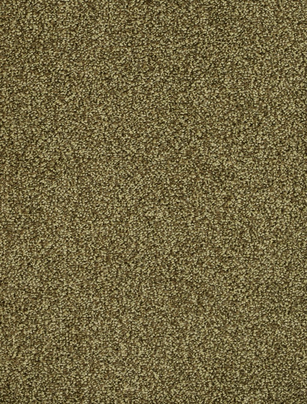 Trend 026 Tapijt DERBY 500cm kleur 24 x 500,0