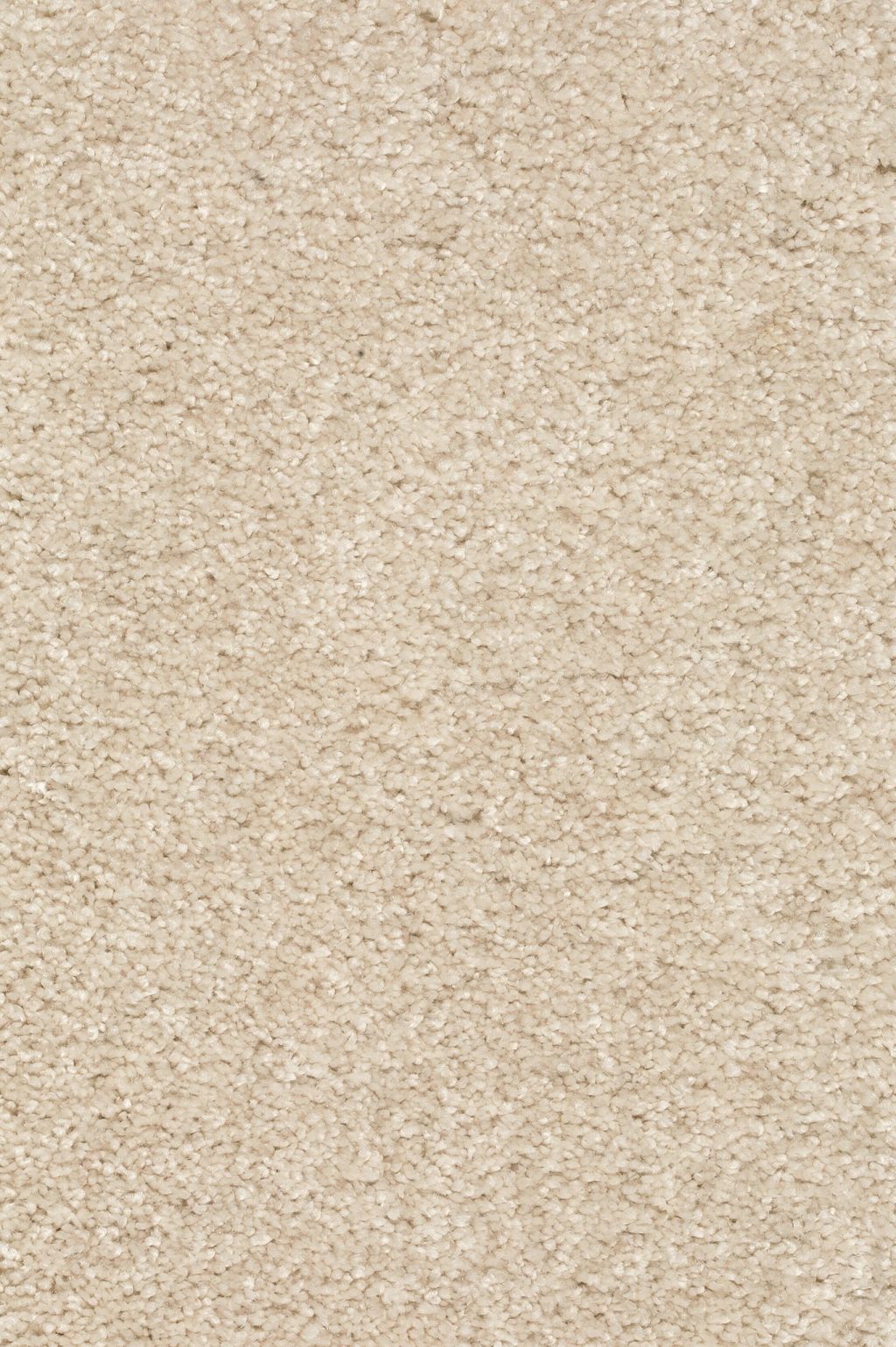 Trend 026 Tapijt DOLCE 400 cm kleur 04 x 400,0