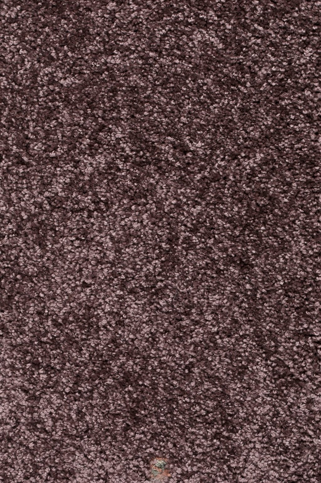 Trend 026 Tapijt DOLCE 400 cm kleur 41 x 400,0