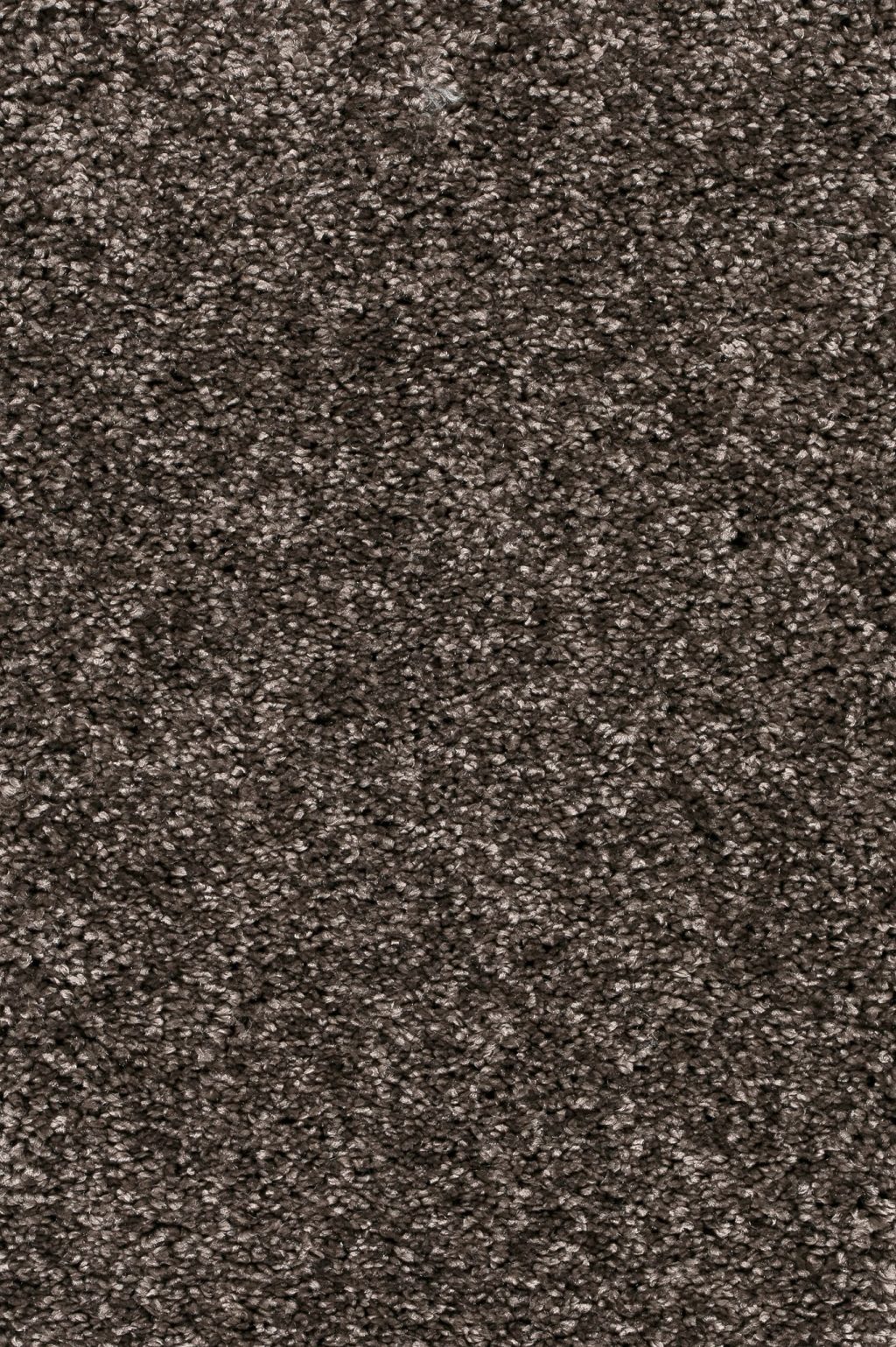 Trend 026 Tapijt DOLCE 500 cm kleur 40 x 500,0