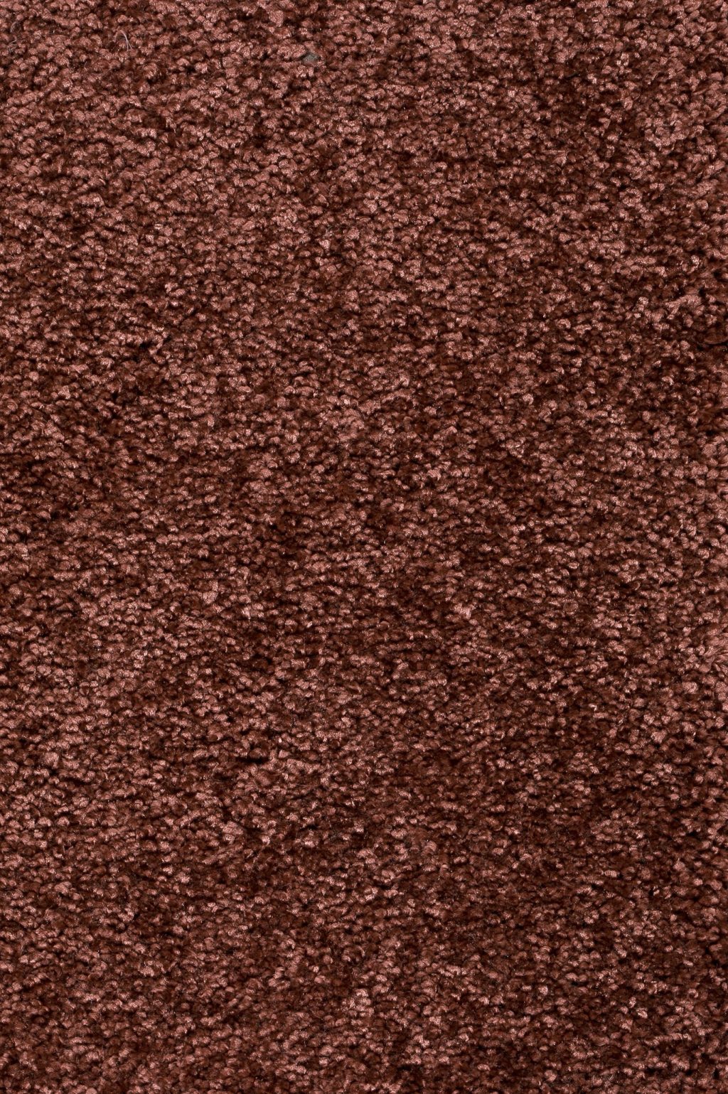 Trend 026 Tapijt DOLCE 500 cm kleur 81 x 500,0