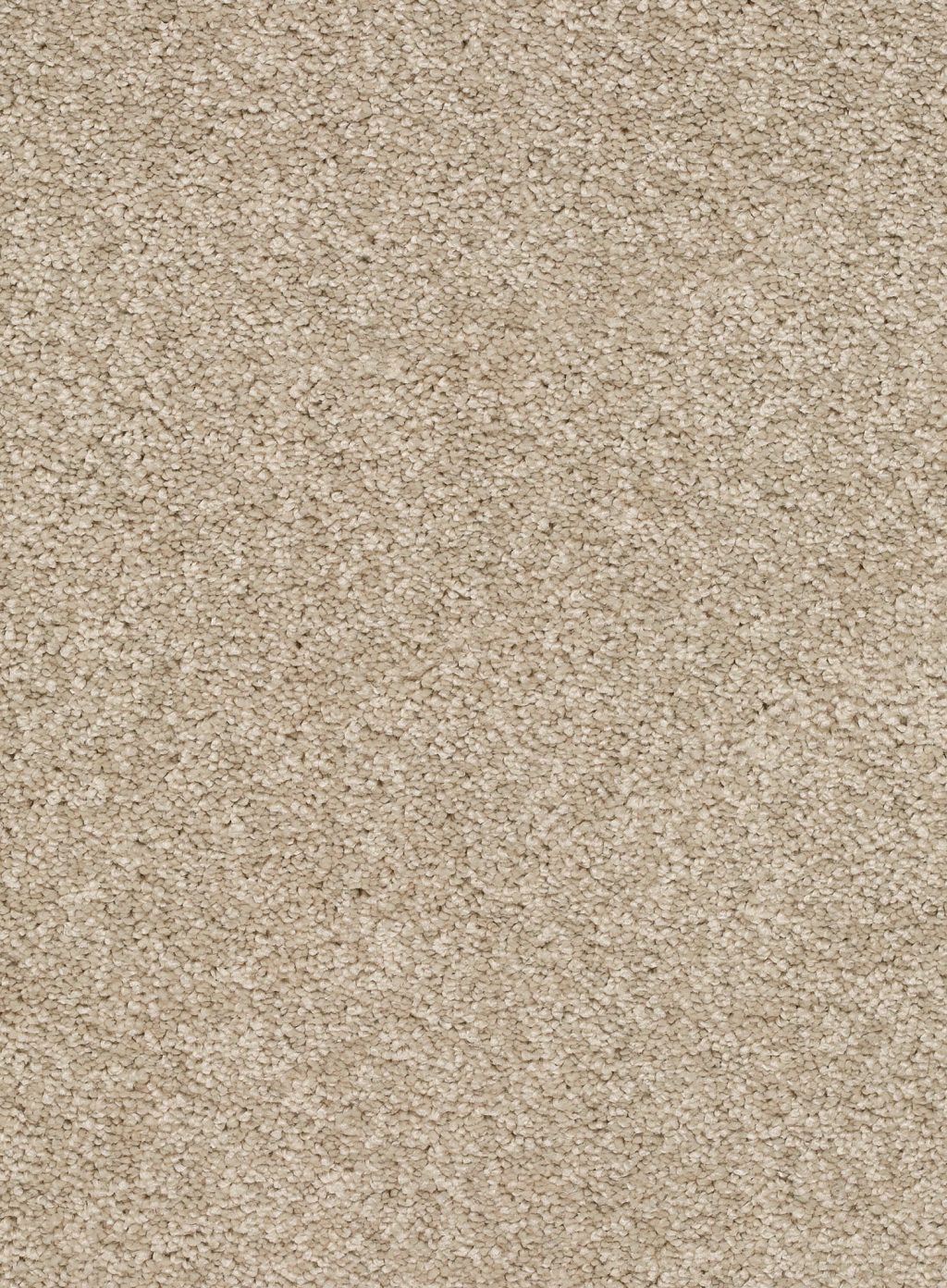 Trend 026 Tapijt FEELING 500 cm kleur 30 x 500,0