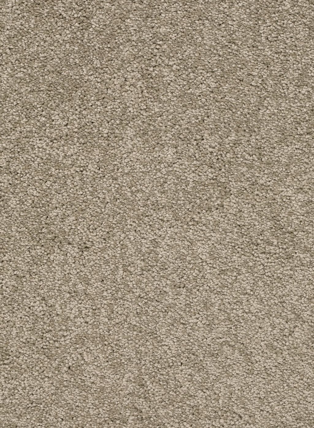 Trend 026 Tapijt FEELING 500 cm kleur 32 x 500,0