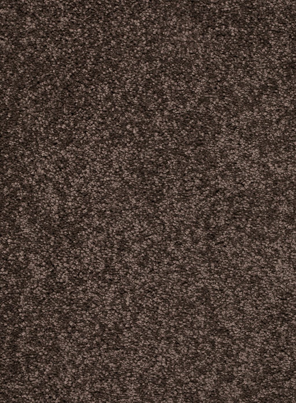 Trend 026 Tapijt FEELING 500 cm kleur 45 x 500,0