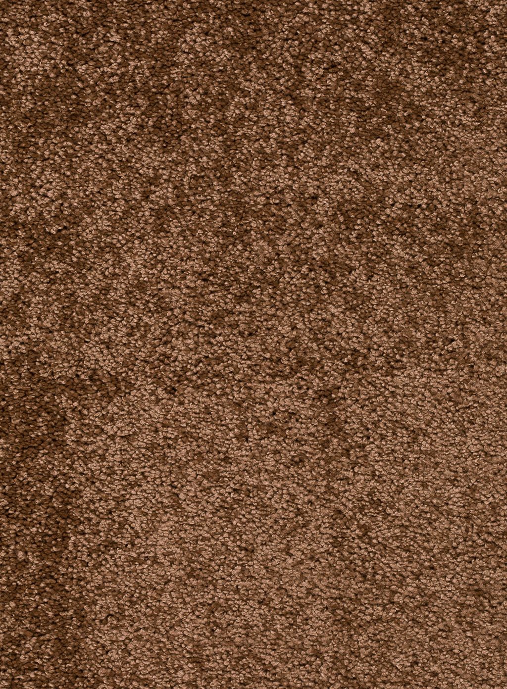 Trend 026 Tapijt FEELING 500 cm kleur 48 x 500,0